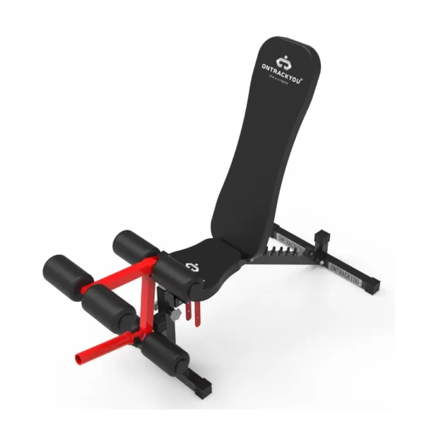 Adjustable Gym Bench with Preacher curl and leg extension by OnTrackYou