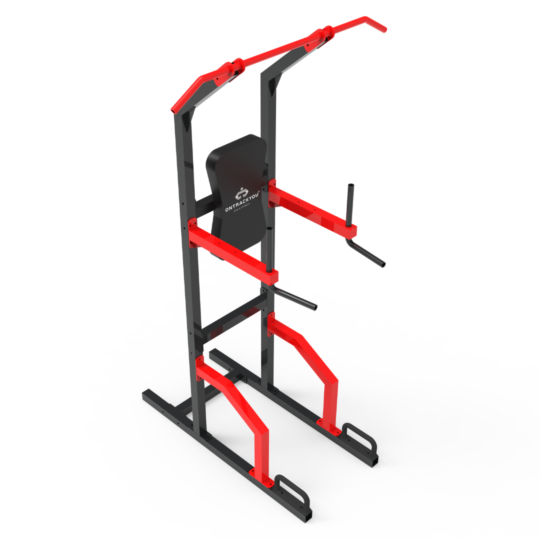 Vertical Knee Raise with Dip Chinup Bar