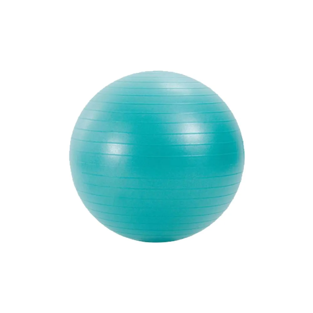 Gym Ball for exercise by OnTrackYou