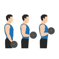 Bicep Curl Exercise with Dumbbells