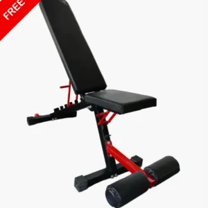 adjustable bench for home gym