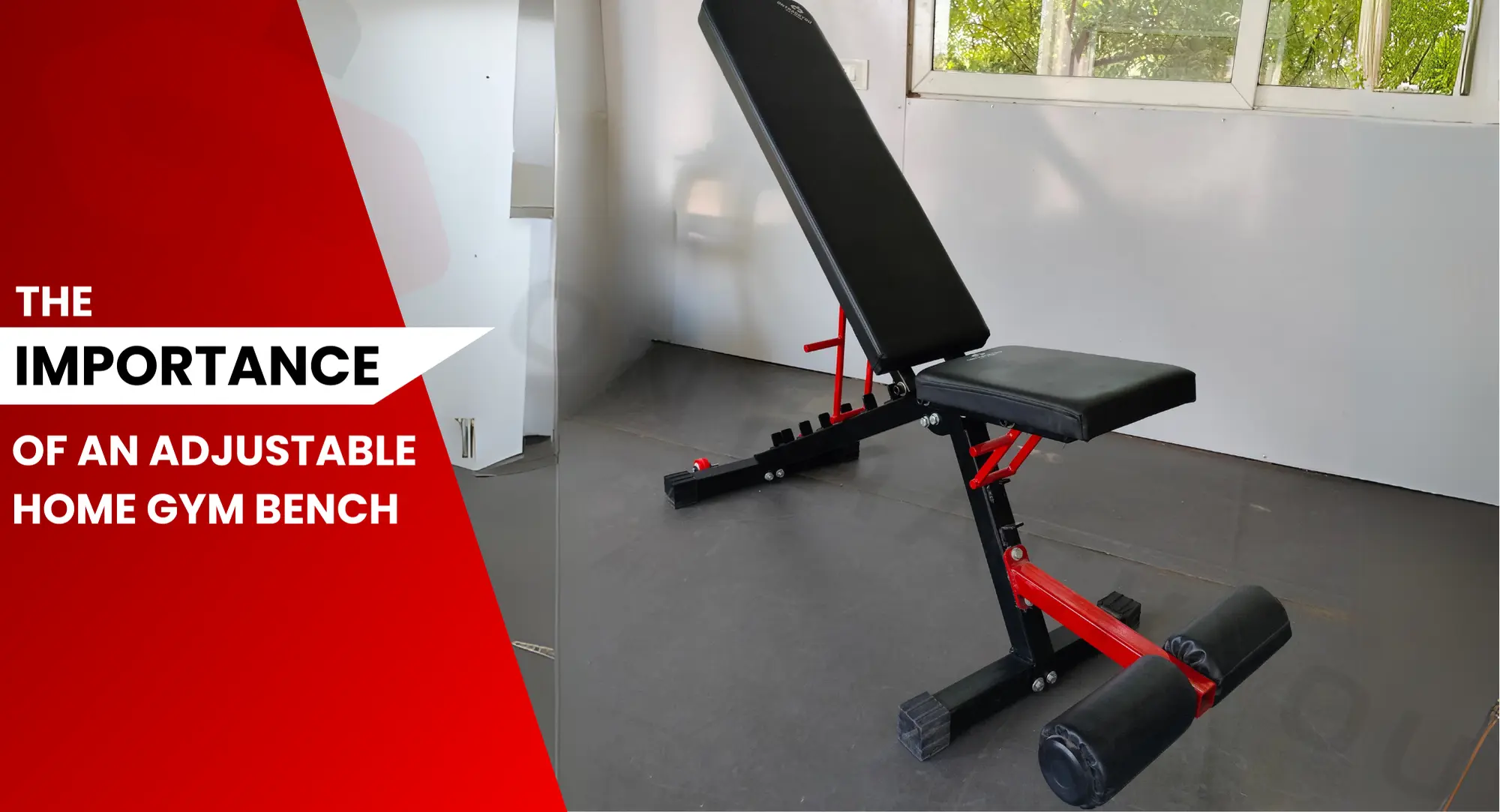 Best Adjustable Gym Bench For Workout