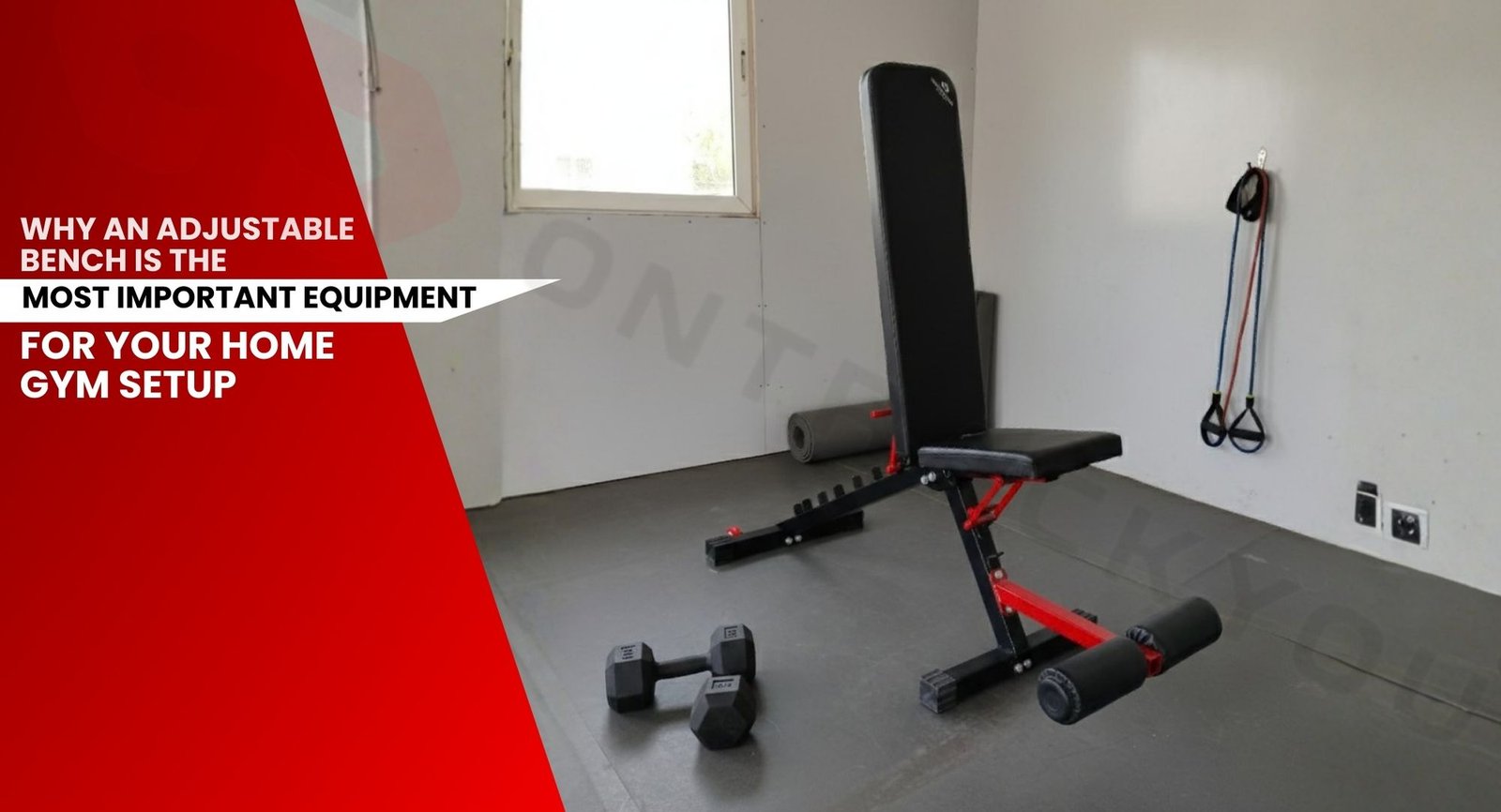 Adjustable Bench for Home Gym Setup
